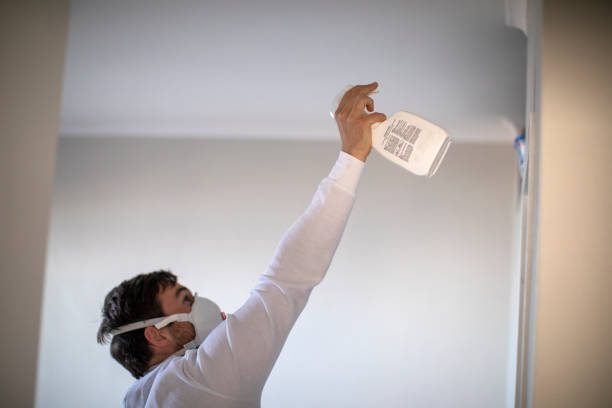 Best Office Mold Removal Services  in Baywood Park, CA