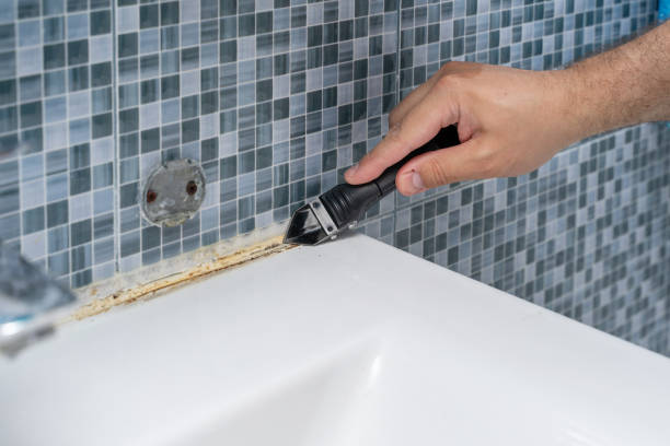 Best Black Mold Removal  in Baywood Park, CA