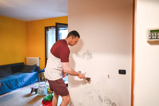 Best Home Mold Removal  in Baywood Park, CA